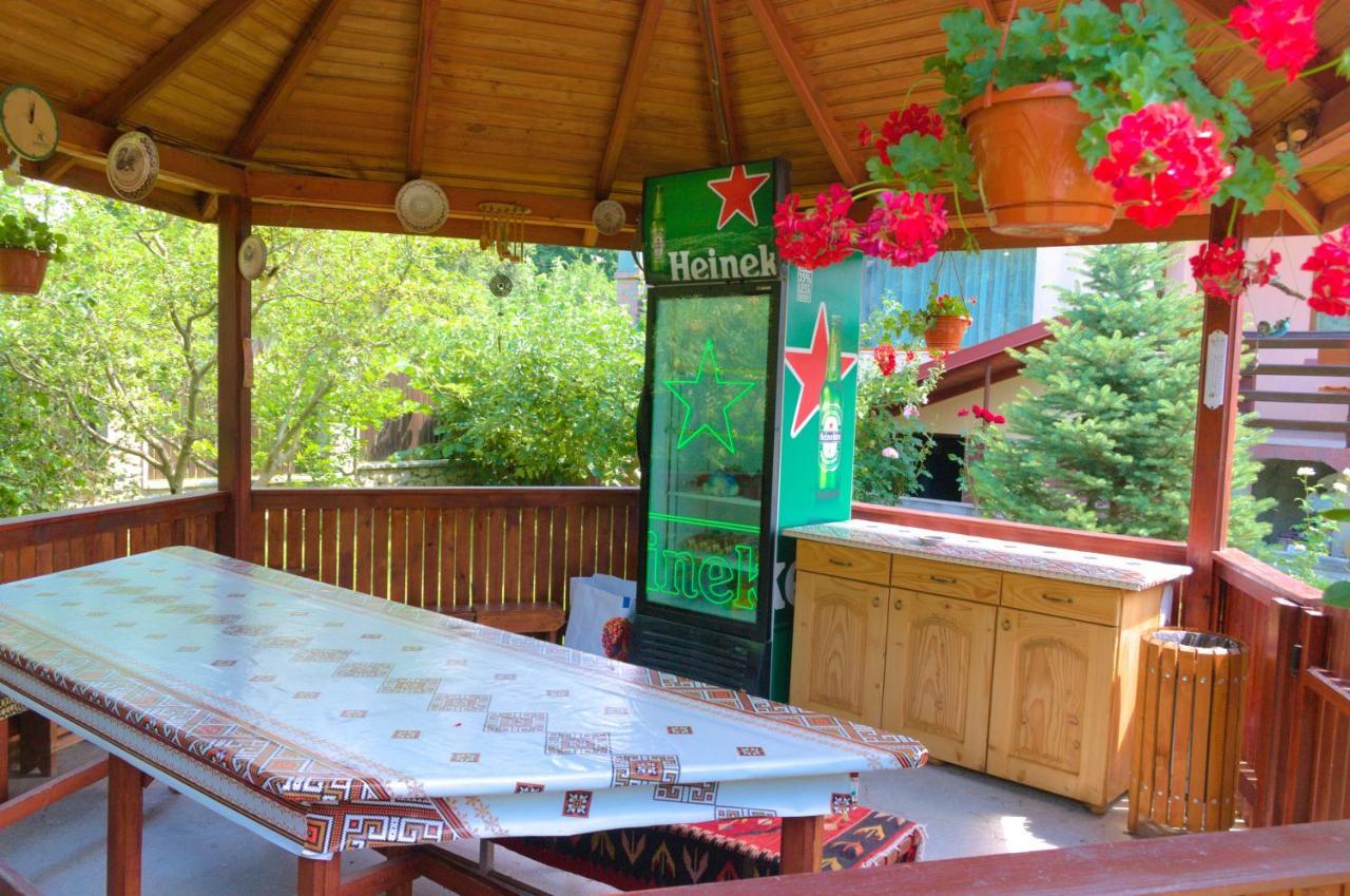 Arnota Villa Costesti  Bagian luar foto